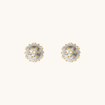 A pair of small silver earrings.